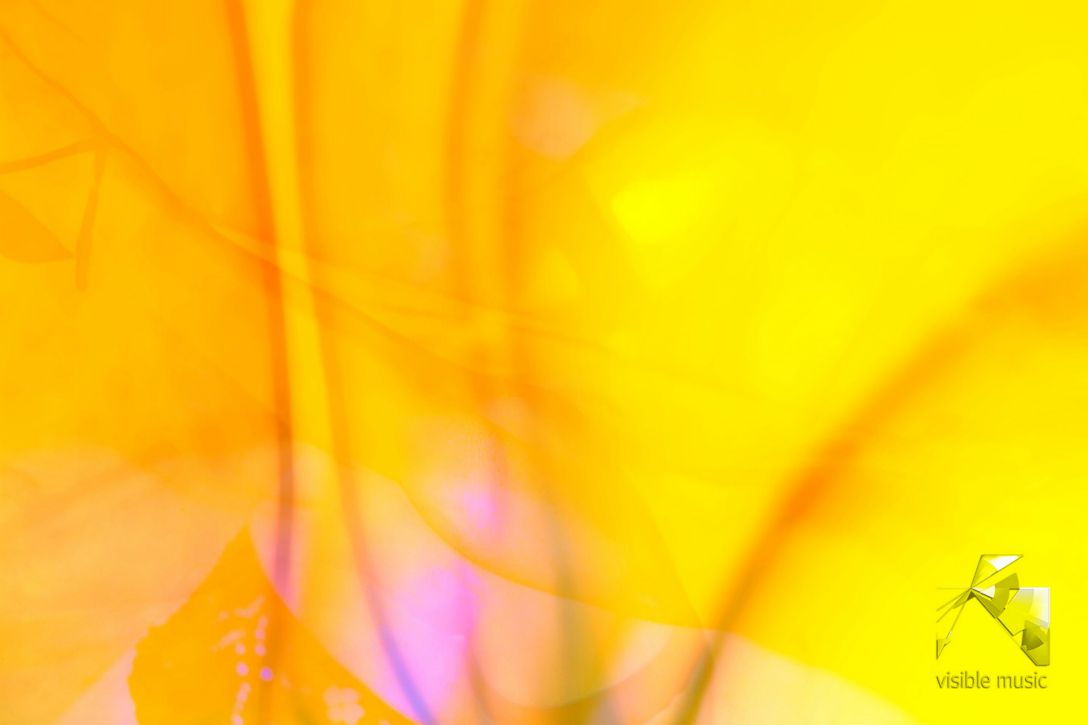 lichtkern_7674_0492
