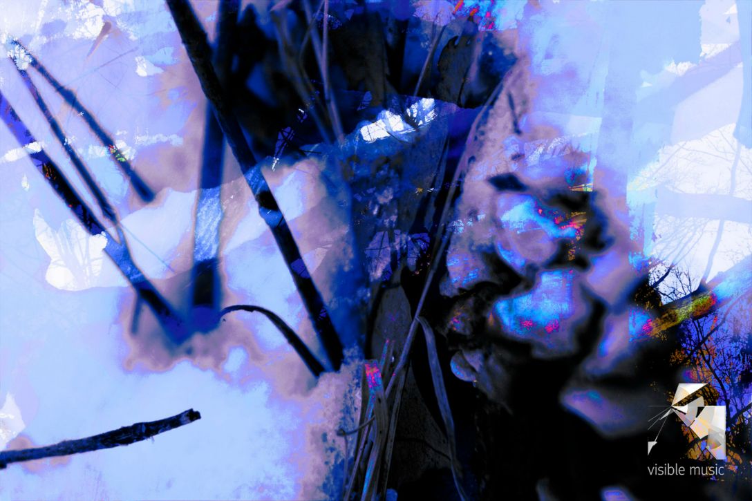 magic_wood_6474_0027